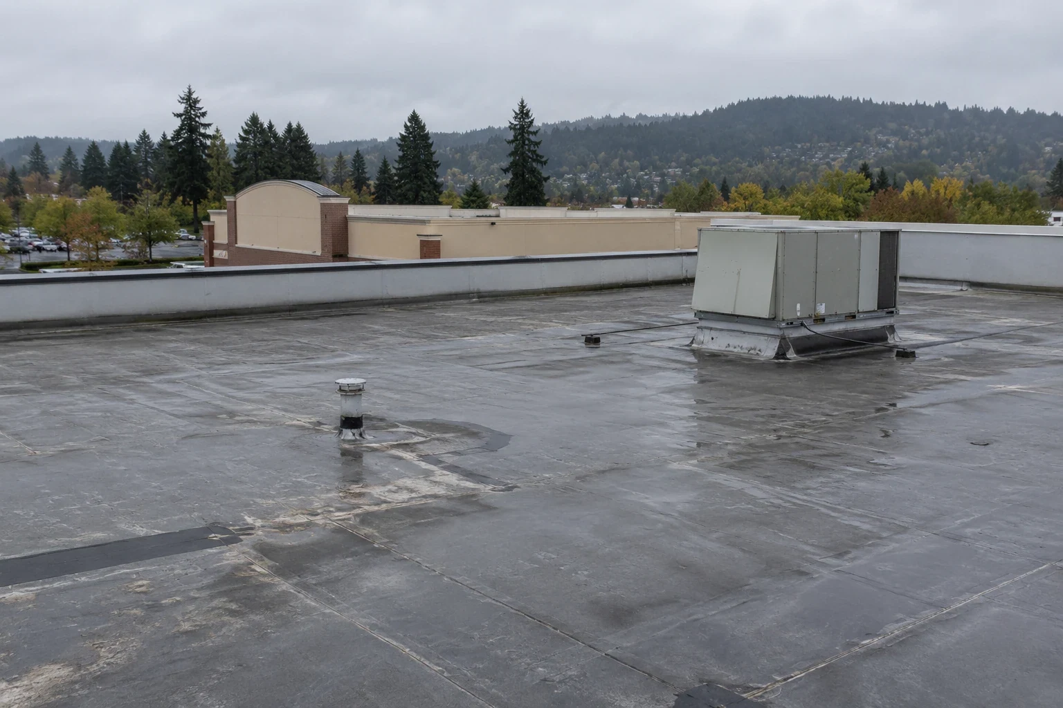 School Roofing
