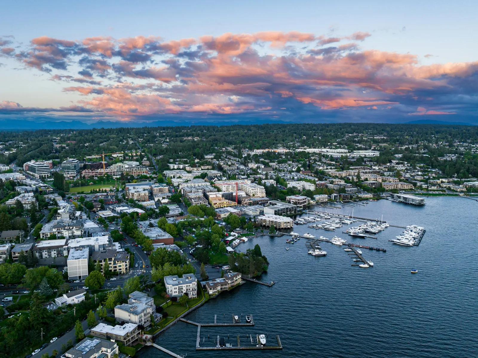 Bellevue